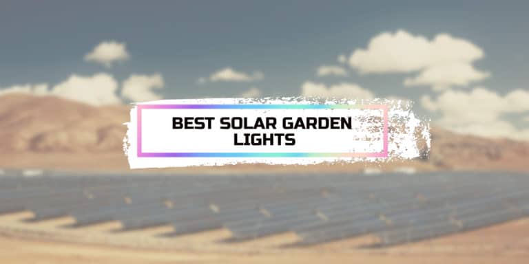 Best Solar Garden Lights